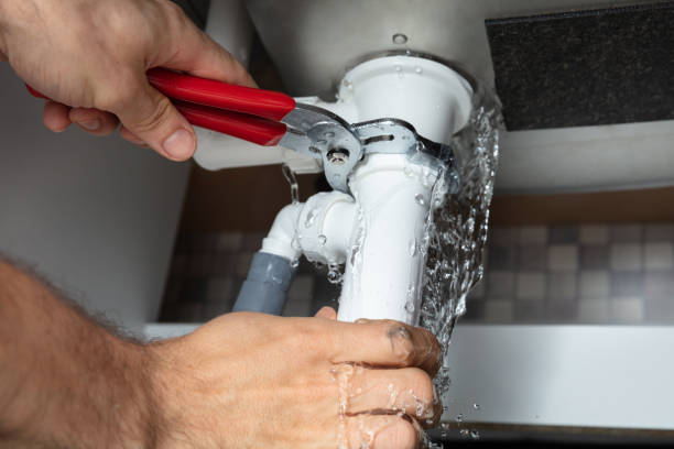 Best Carpet water damage restoration  in Vermilion, OH