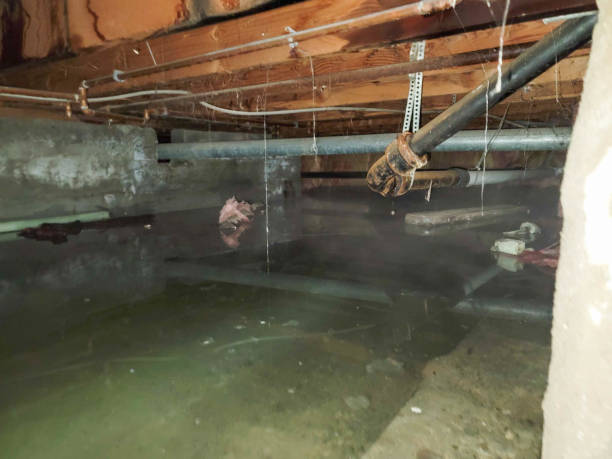 Best Water damage restoration specialists  in Vermilion, OH