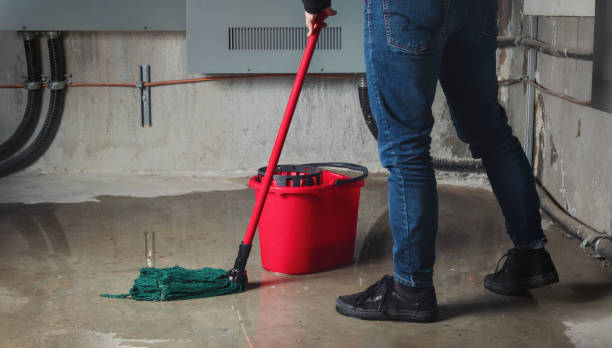 Best Professional water damage repair  in Vermilion, OH
