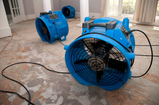 Best Flood damage cleanup  in Vermilion, OH