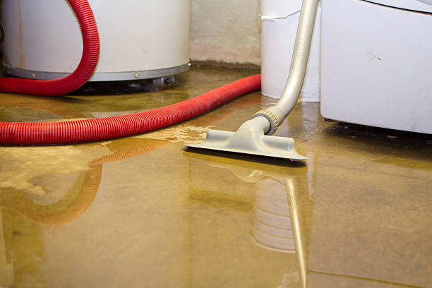 Best Mold removal after water damage  in Vermilion, OH