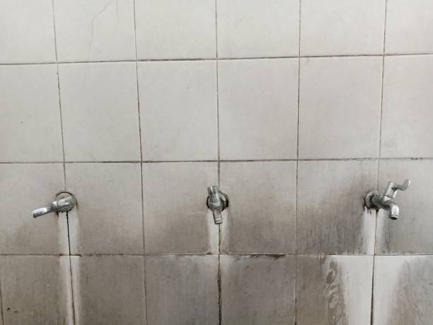 Best Water damage cleanup near me  in Vermilion, OH