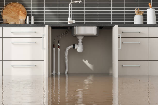 Best 24-hour water damage restoration  in Vermilion, OH