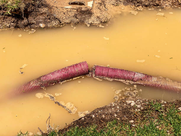Best Sewage cleanup and water damage restoration  in Vermilion, OH